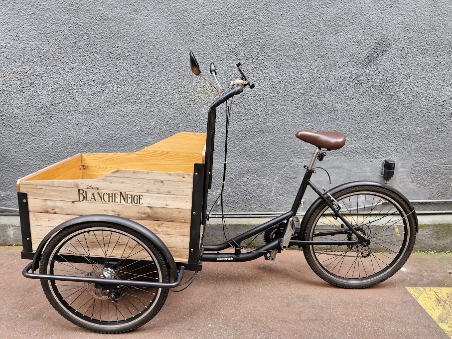 The Walt Disney Studios