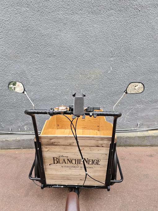 The Walt Disney Studios