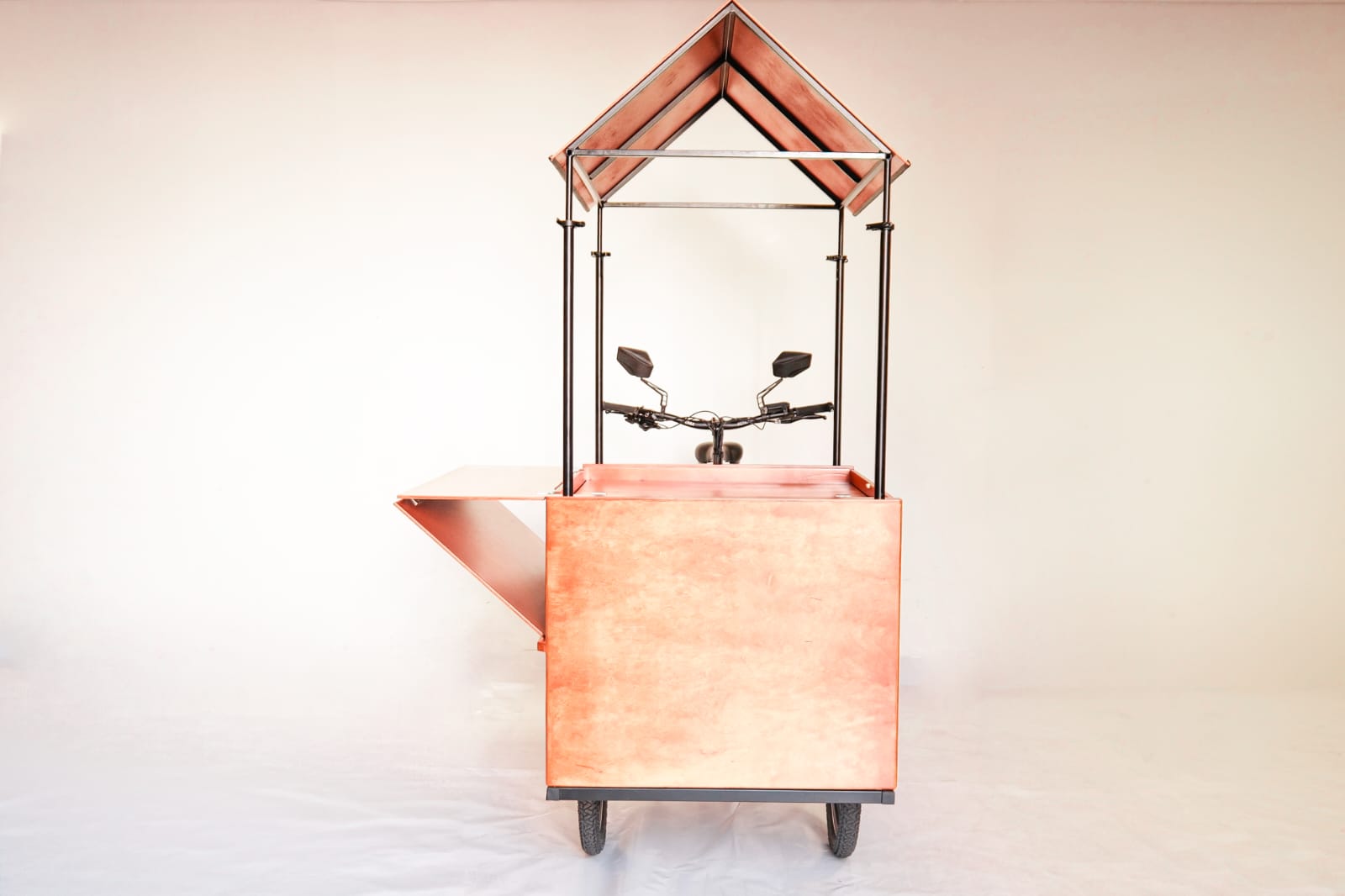 Triporteur Smart Property Toulouse